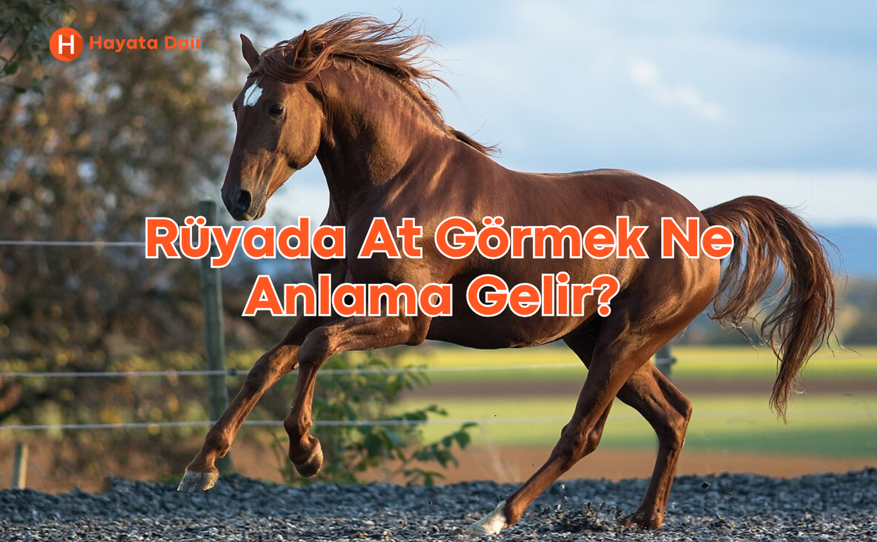 Rüyada At Görmek Ne Anlama Gelir?