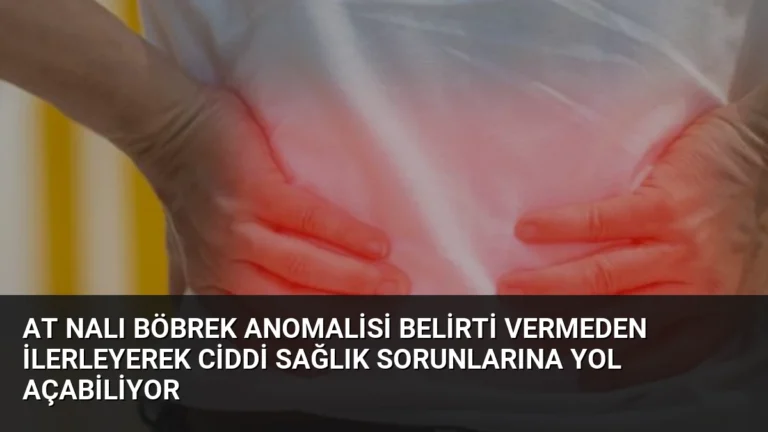 At Nalı Böbrek Anomalisi Belirti Vermeden İlerleyerek Ciddi Sağlık Sorunlarına Yol Açabiliyor
