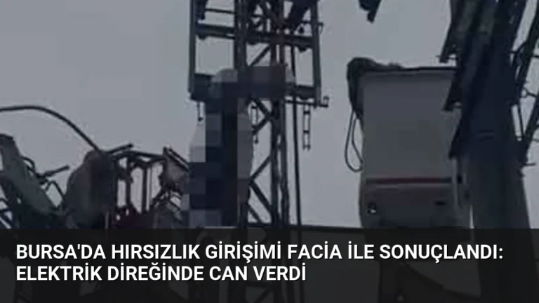 Bursa’da Hırsızlık Girişimi Facia ile Sonuçlandı: Elektrik Direğinde Can Verdi