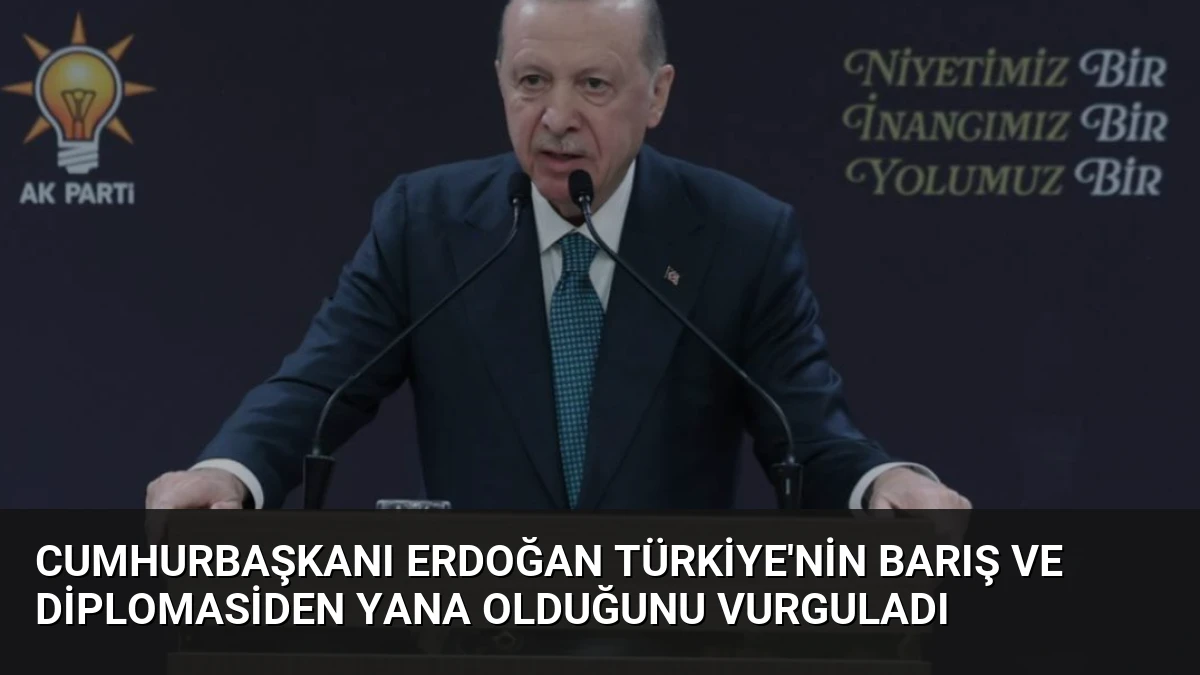 Cumhurbaşkanı Erdoğan Türkiye’nin barış ve diplomasiden yana olduğunu vurguladı