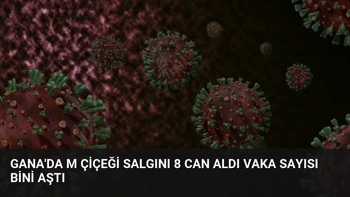 Gana’da M Çiçeği Salgını 8 Can Aldı Vaka Sayısı Bini Aştı