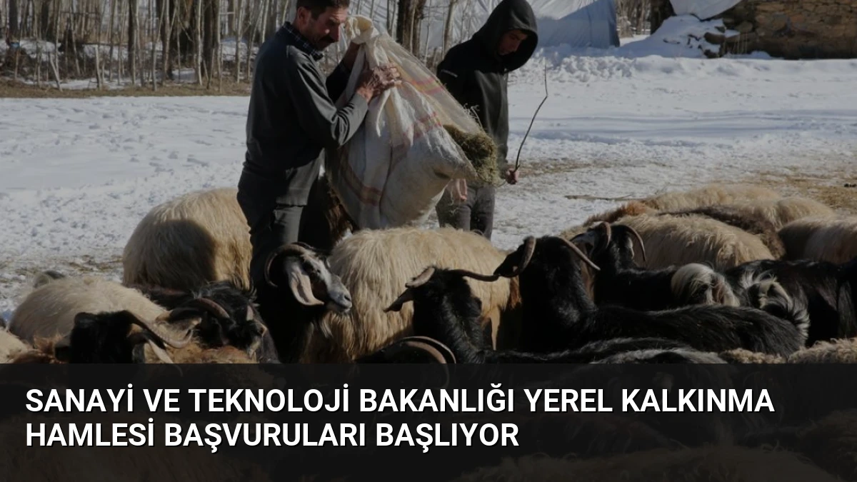 Sanayi ve Teknoloji Bakanlığı Yerel Kalkınma Hamlesi Başvuruları Başlıyor