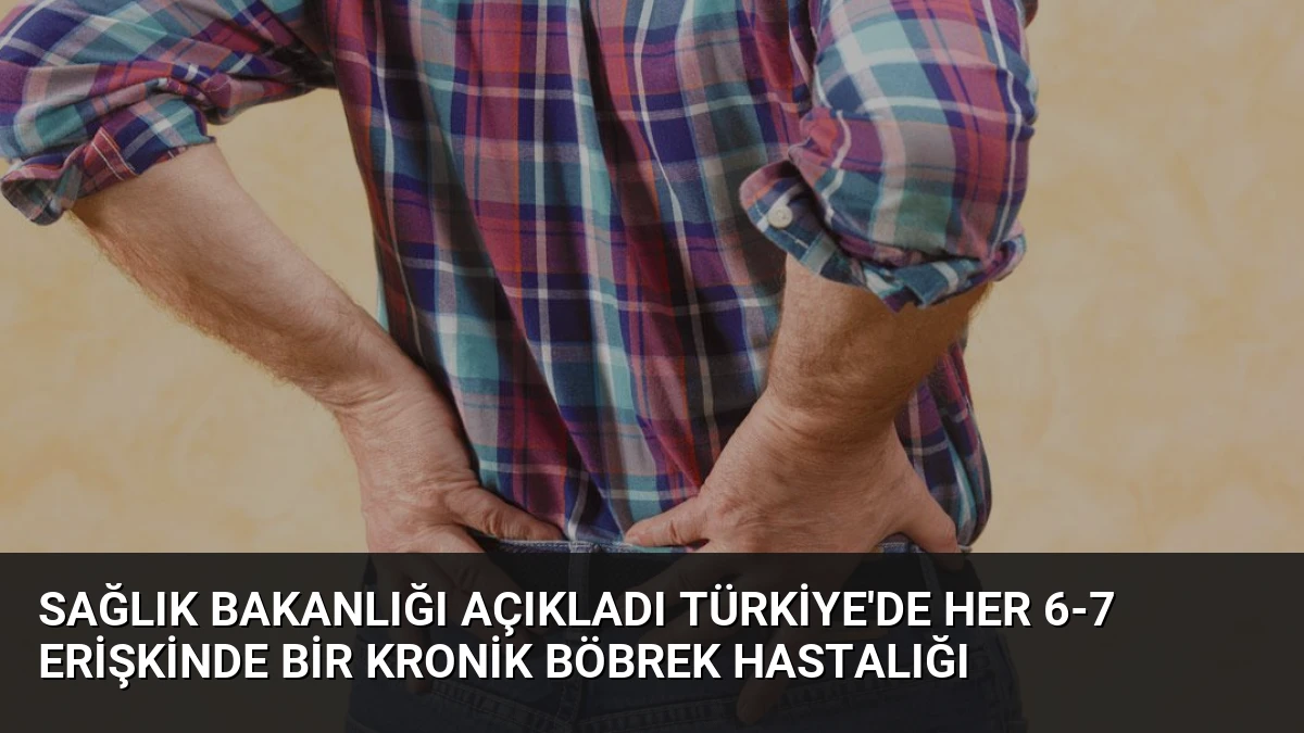 Sağlık Bakanlığı Açıkladı Türkiye’de Her 6-7 Erişkinde Bir Kronik Böbrek Hastalığı