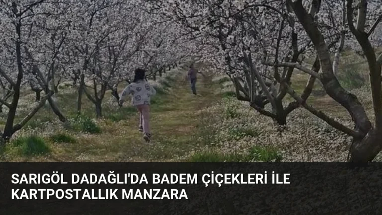 Sarıgöl Dadağlı’da Badem Çiçekleri ile Kartpostallık Manzara
