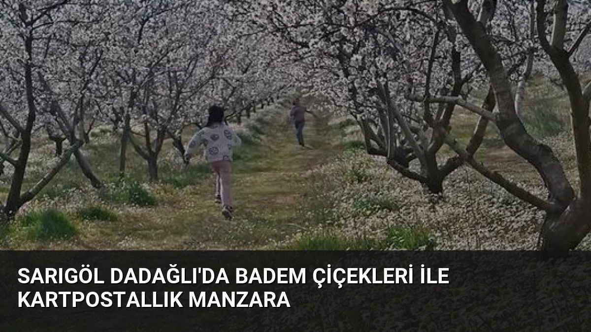 Sarıgöl Dadağlı’da Badem Çiçekleri ile Kartpostallık Manzara