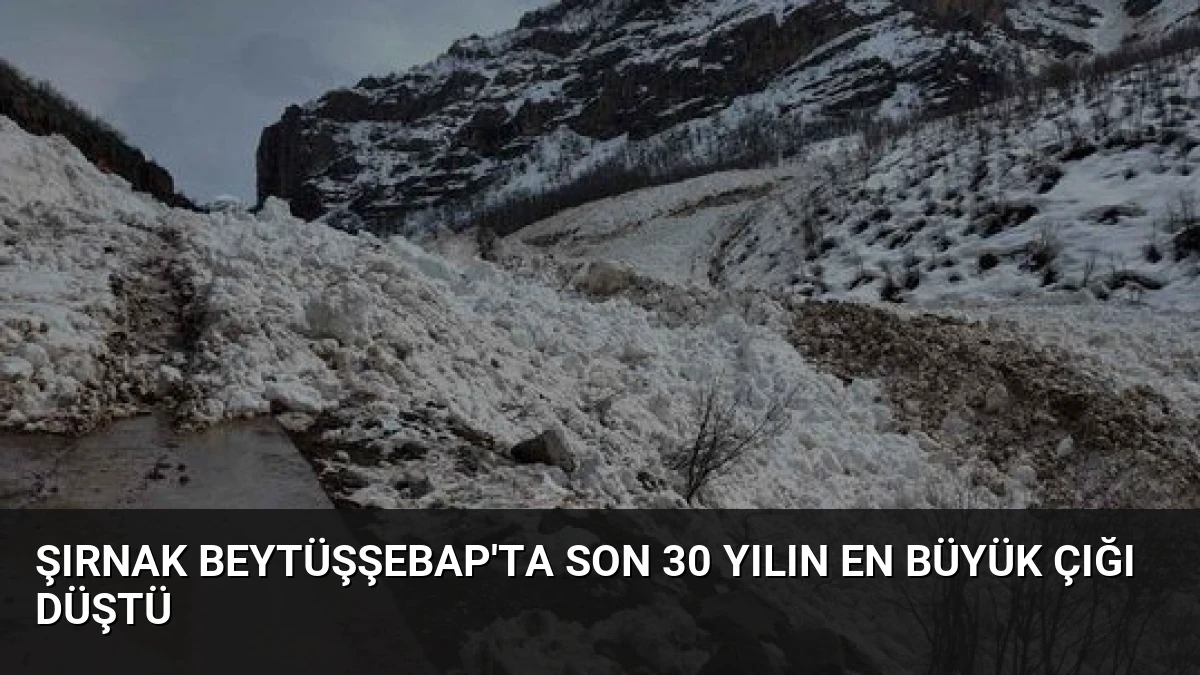 Şırnak Beytüşşebap’ta Son 30 Yılın En Büyük Çığı Düştü