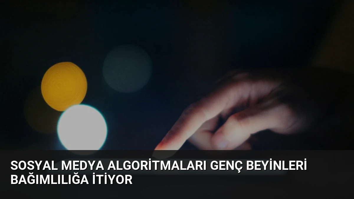 Sosyal medya algoritmaları genç beyinleri bağımlılığa itiyor