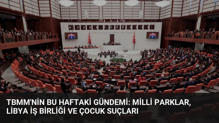 TBMM’nin Bu Haftaki Gündemi: Milli Parklar, Libya İş Birliği ve Çocuk Suçları