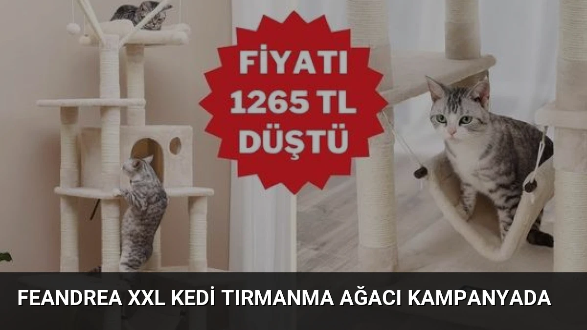 Feandrea XXL Kedi Tırmanma Ağacı Kampanyada