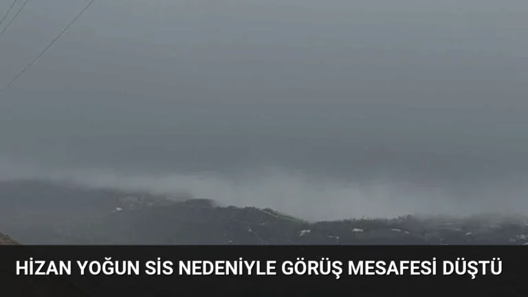 Hizan Yoğun Sis Nedeniyle Görüş Mesafesi Düştü
