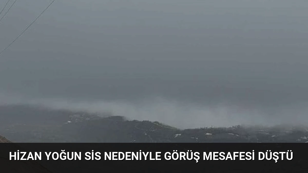 Hizan Yoğun Sis Nedeniyle Görüş Mesafesi Düştü