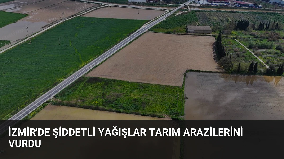 İzmir’de Şiddetli Yağışlar Tarım Arazilerini Vurdu