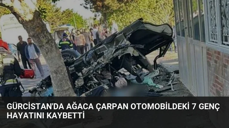 Gürcistan’da Ağaca Çarpan Otomobildeki 7 Genç Hayatını Kaybetti