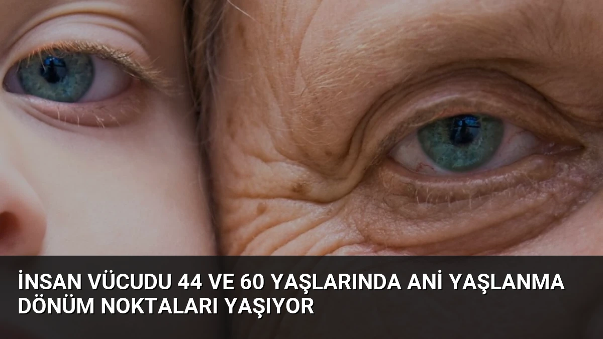 İnsan Vücudu 44 ve 60 Yaşlarında Ani Yaşlanma Dönüm Noktaları Yaşıyor