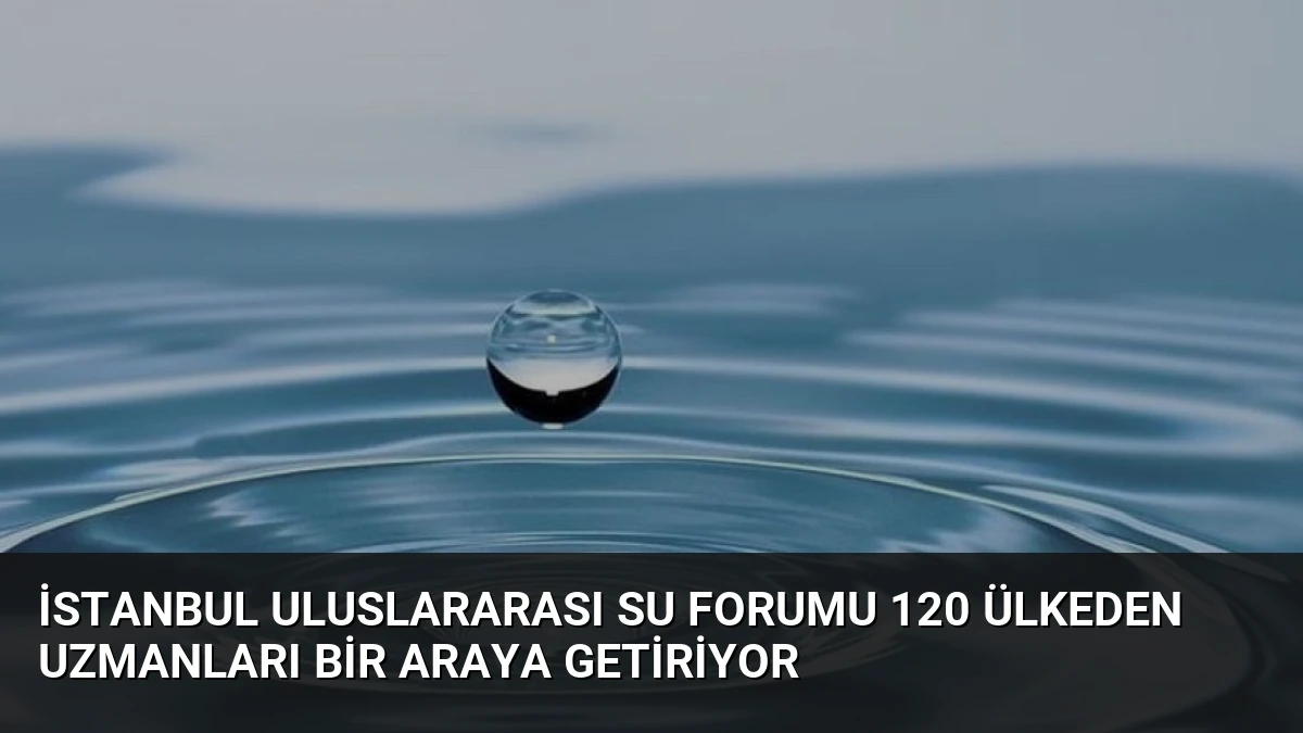 İstanbul Uluslararası Su Forumu 120 Ülkeden Uzmanları Bir Araya Getiriyor
