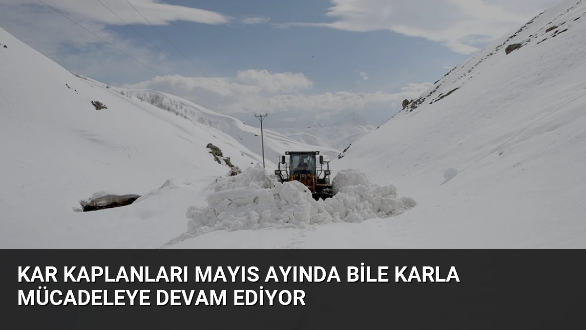 Kar Kaplanları Mayıs Ayında Bile Karla Mücadeleye Devam Ediyor