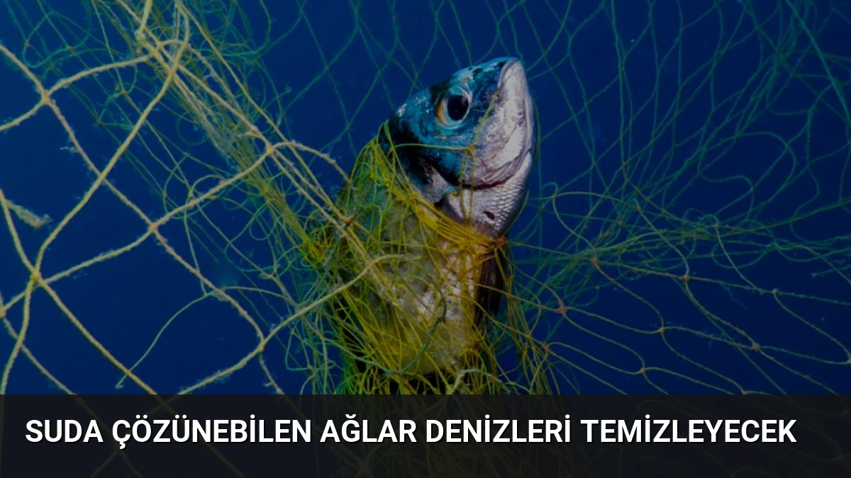 Suda Çözünebilen Ağlar Denizleri Temizleyecek