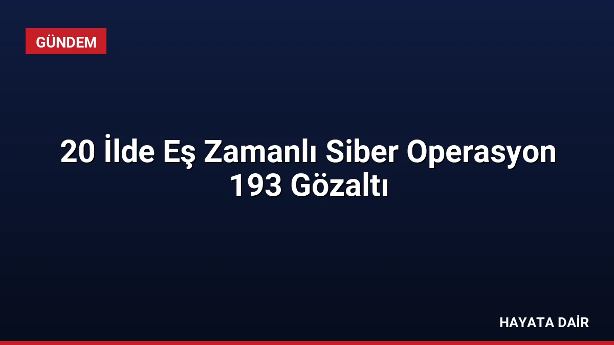 20 İlde Eş Zamanlı Siber Operasyon 193 Gözaltı