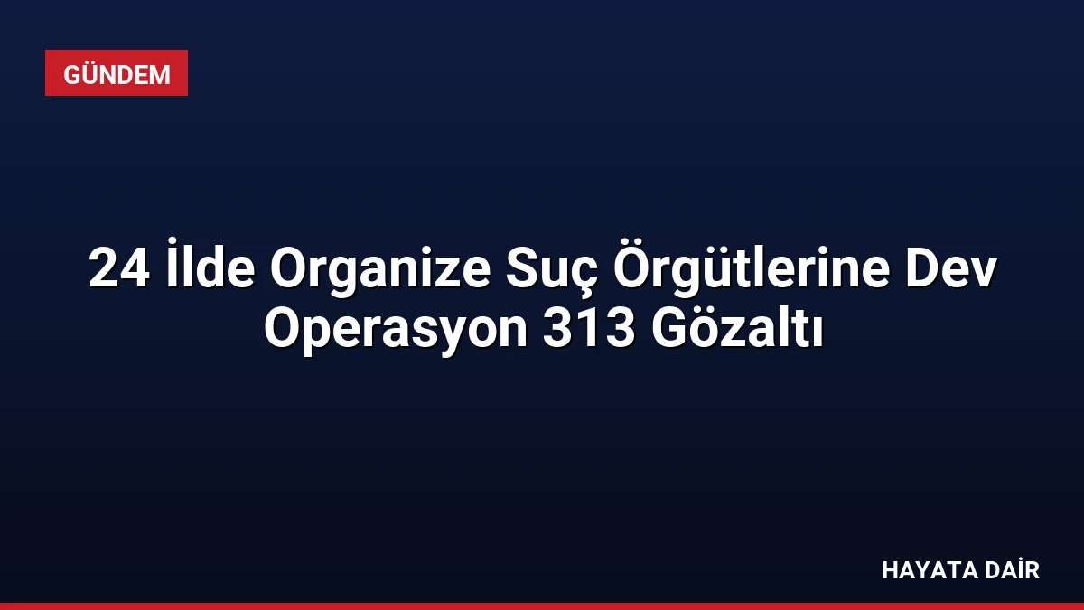 24 İlde Organize Suç Örgütlerine Dev Operasyon 313 Gözaltı
