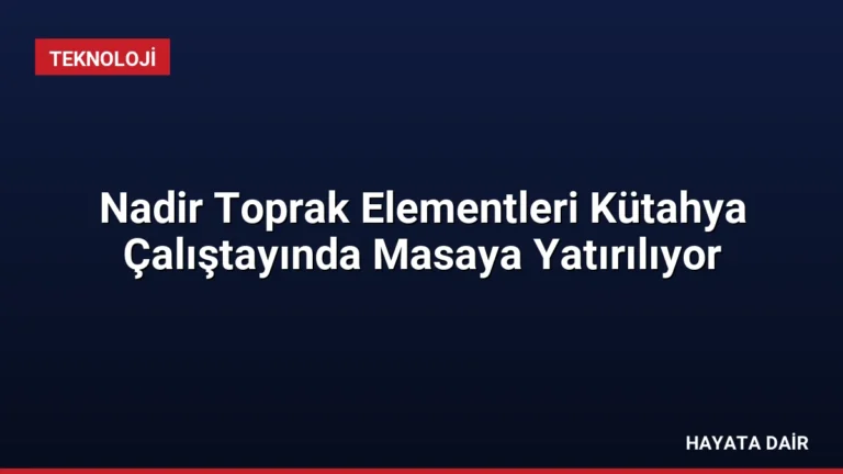 Nadir Toprak Elementleri Kütahya Çalıştayında Masaya Yatırılıyor
