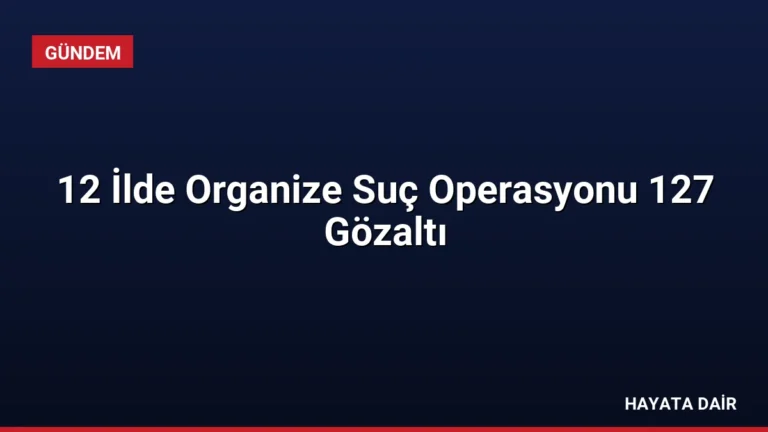 12 İlde Organize Suç Operasyonu 127 Gözaltı