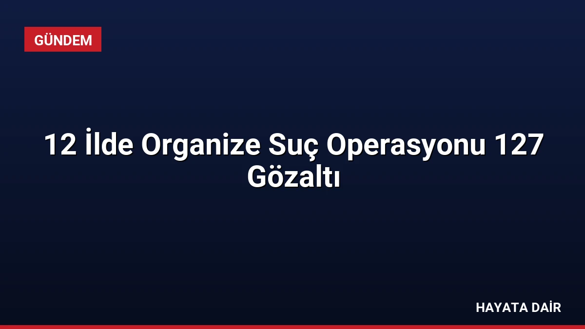 12 İlde Organize Suç Operasyonu 127 Gözaltı