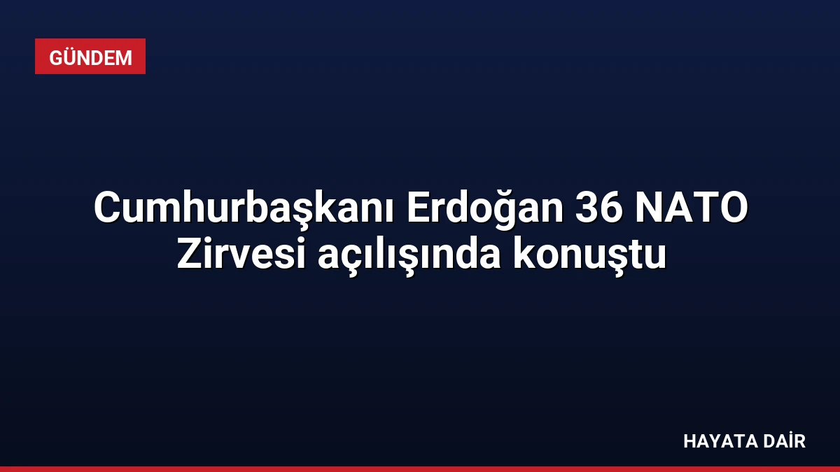 Cumhurbaşkanı Erdoğan 36 NATO Zirvesi açılışında konuştu
