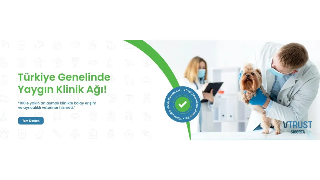 Evcil Hayvan Sigortası Yapan Şirketler İle Sigorta Aracılarının Farkları