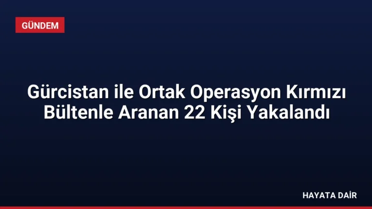 Gürcistan ile Ortak Operasyon Kırmızı Bültenle Aranan 22 Kişi Yakalandı