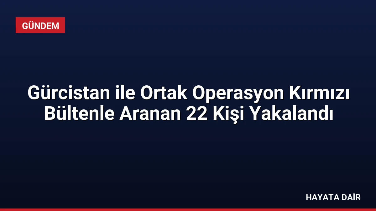 Gürcistan ile Ortak Operasyon Kırmızı Bültenle Aranan 22 Kişi Yakalandı
